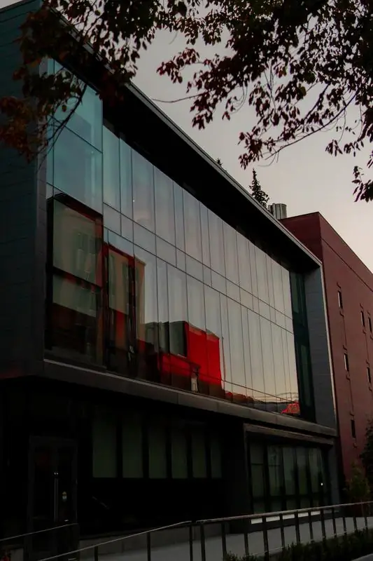 Glass facade framed by branches