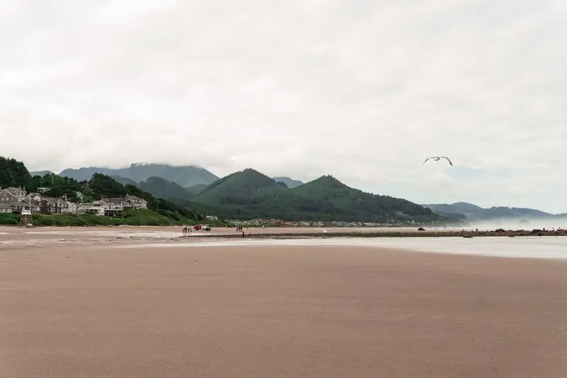 Sandy beach with green hills